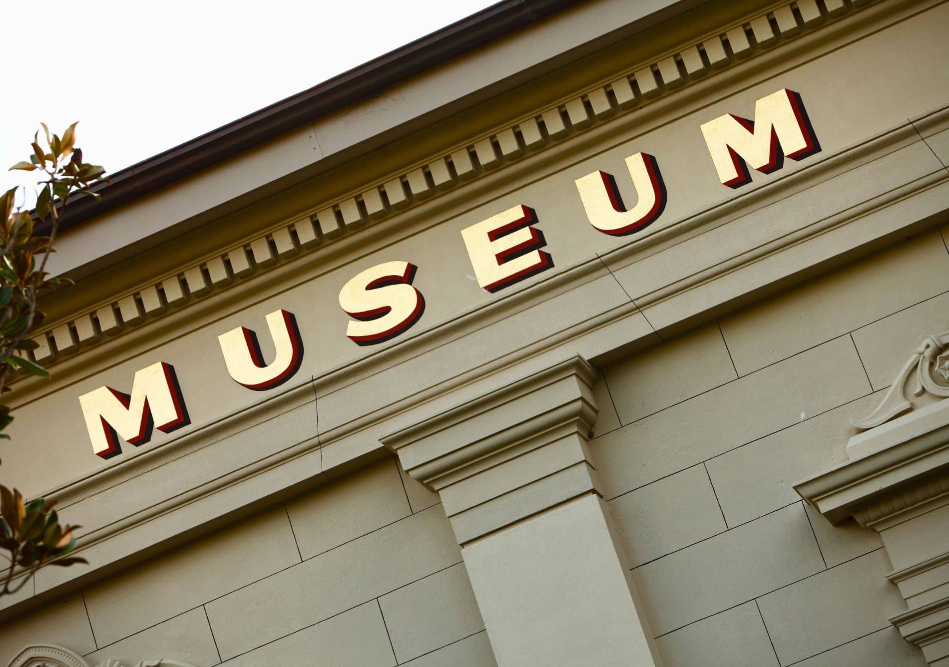 museum with tree branch in daylight