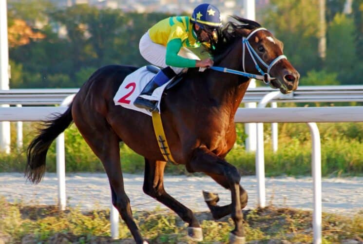 A racer in white pants and green and yellow shirt on a brown race horse running on a track