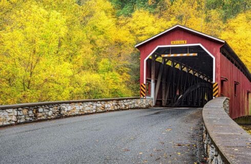 A red covered bridge amidst fall trees with bright yellow leaves