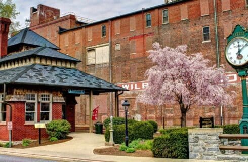 Train station with a clock tower by a large brick building and pink flowering tree