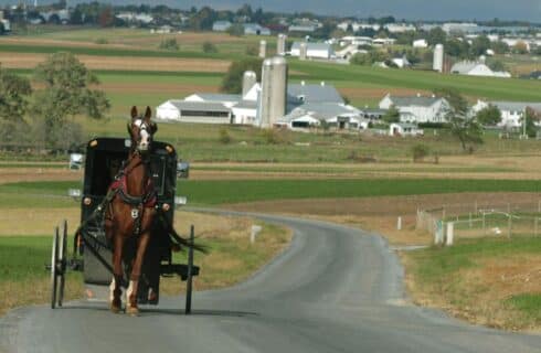 An Amish horse and buggy riding down an empty road amidst large farms