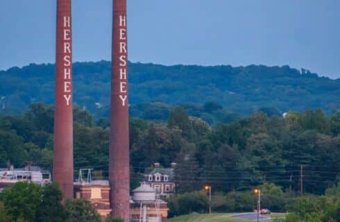 Two tall brown smoke stacks nestled among a ridge of trees